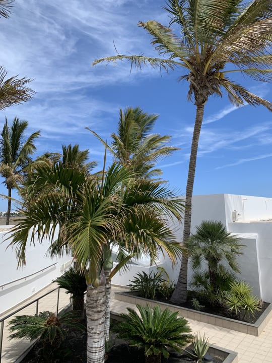 Ausblick Hotel Las Costas