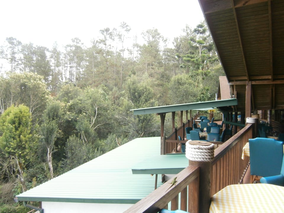 Gastro The Lodge at Furcy