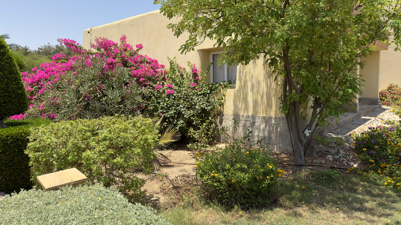 Außenansicht Wadi Lahmy Azur Resort