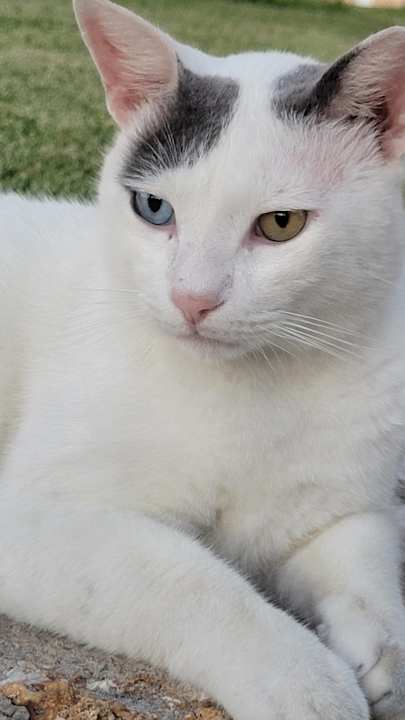 Sonstiges Hotel Horizon Beach Resort