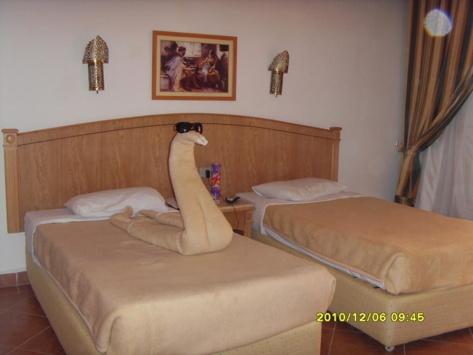 Приятные сюрпризы от уборщиков Pickalbatros Aqua Vista Resort - Hurghada