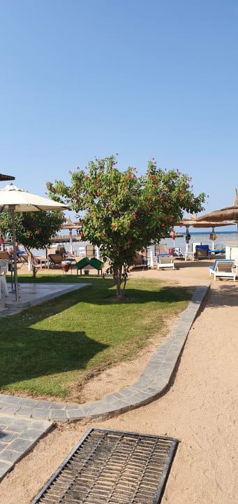 Gartenanlage Pickalbatros Dana Beach Resort - Hurghada