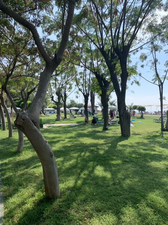 Gartenanlage Labranda Alantur Resort