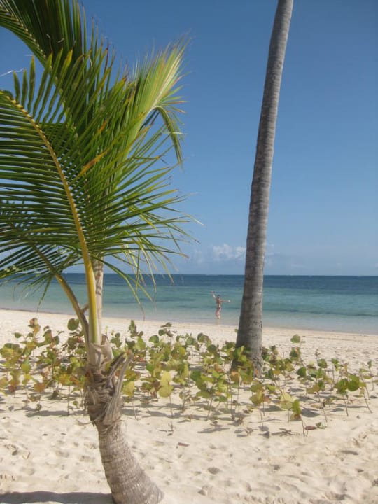 Hotel-Strand  Catalonia Punta Cana - All Inclusive