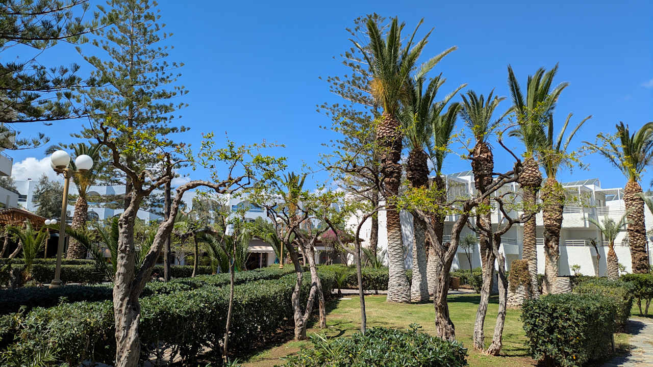 Gartenanlage Apollonia Beach Resort & Spa