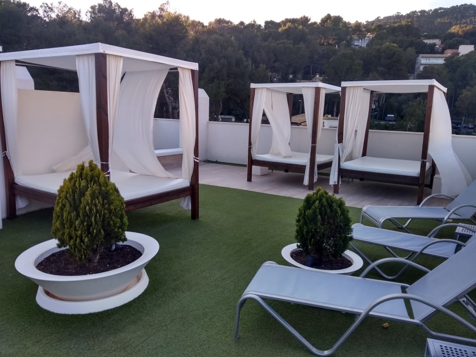 Sonstiges BQ Bulevar Paguera - Adults only