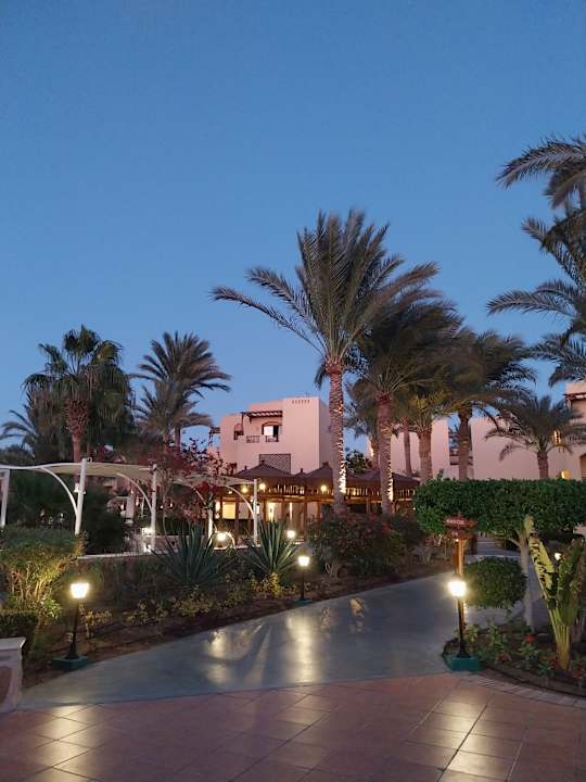 Gartenanlage Steigenberger Coraya Beach - Adults only