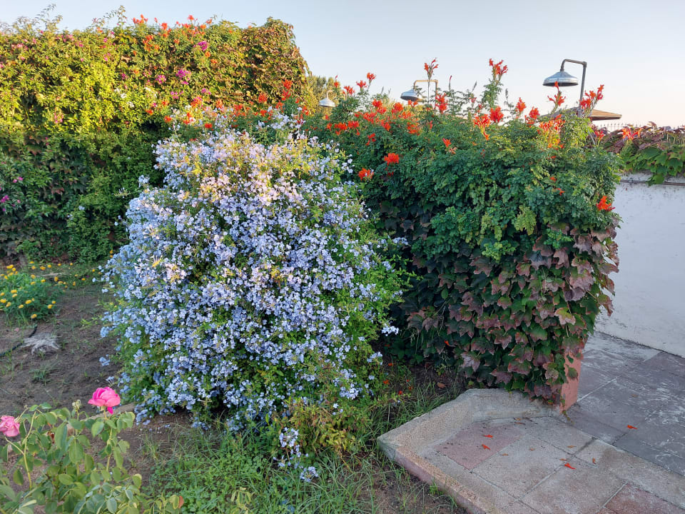 Gartenanlage Hotel L'Esagono