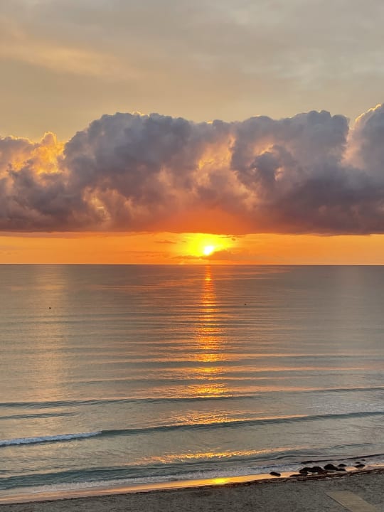 Ausblick The Sea Hotel by Grupotel - Adults only