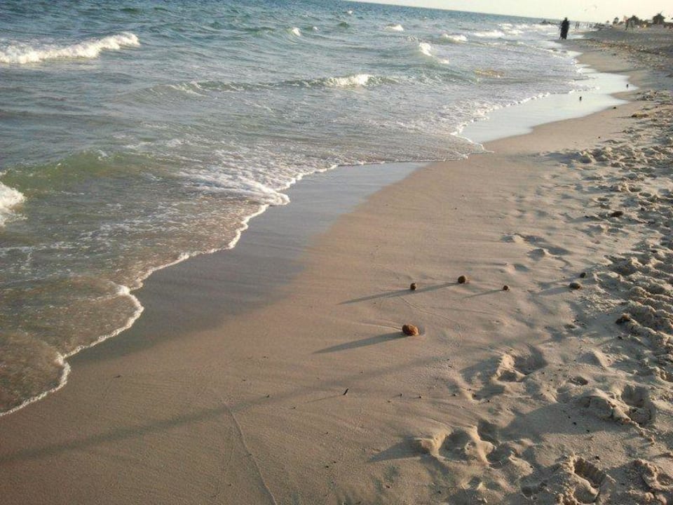 Strand TUI MAGIC LIFE Africana