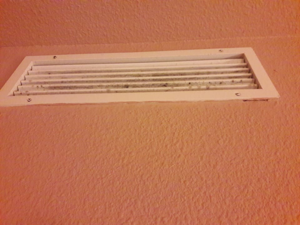 Zimmer Melia La Palma Hotel