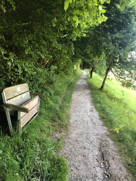 Ausblick Landhaus Strasser
