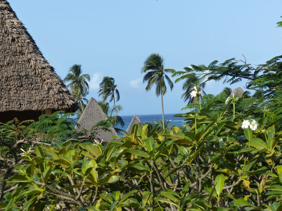 Ausblick Neptune Pwani Beach Resort & Spa