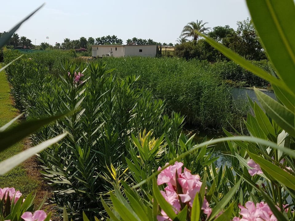Gartenanlage Diamond Excellence Resort & Spa
