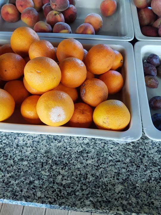 Strand Hane Family Resort