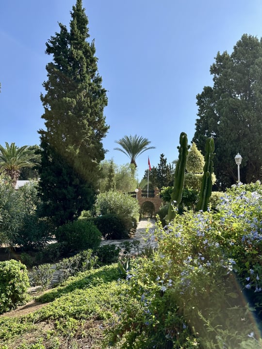 Gartenanlage Marhaba Royal Salem