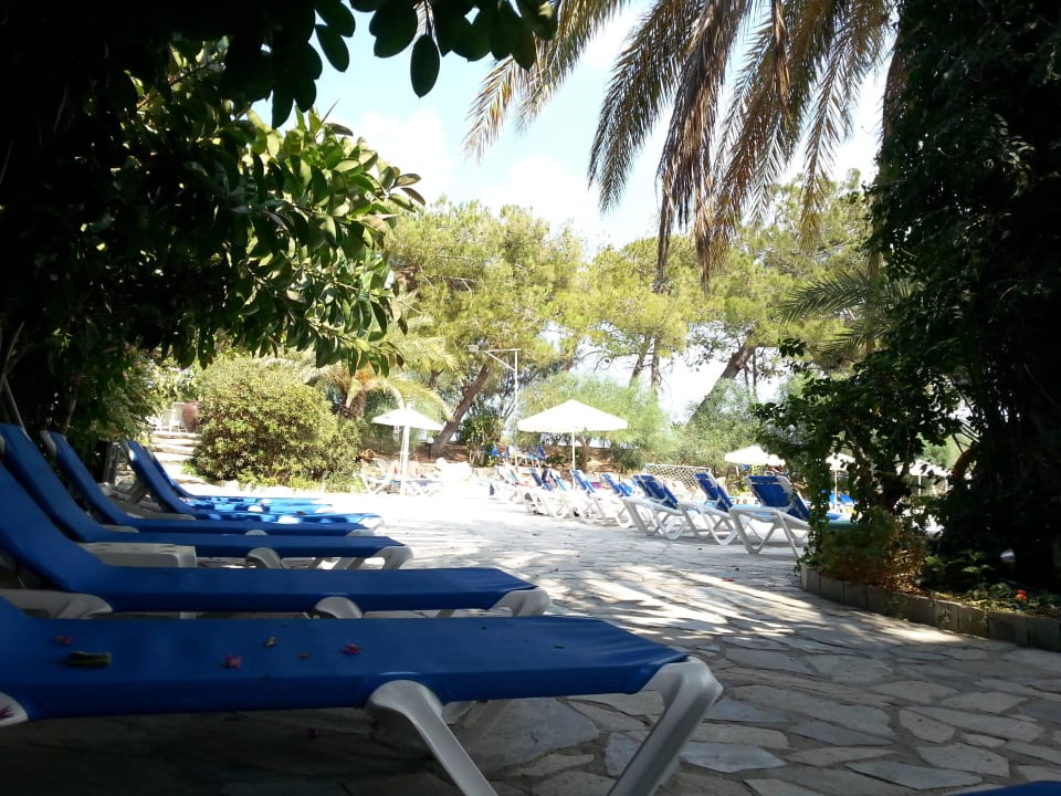 Schattenbereich großer Pool Sitia Beach City Resort & Spa