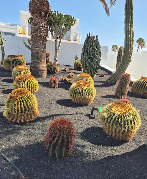 Gartenanlage Hotel Floresta