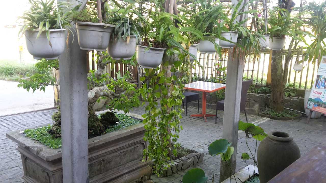Gartenanlage Hoi An Lemongrass Homestay