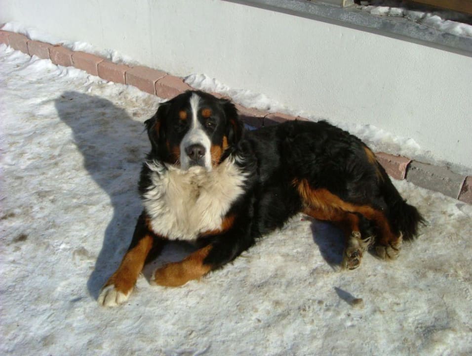 Gino Panorama Resort Taljörgele