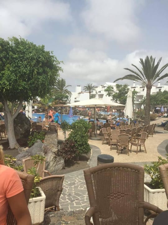 Platz an der Bar allsun App.-Hotel Albatros