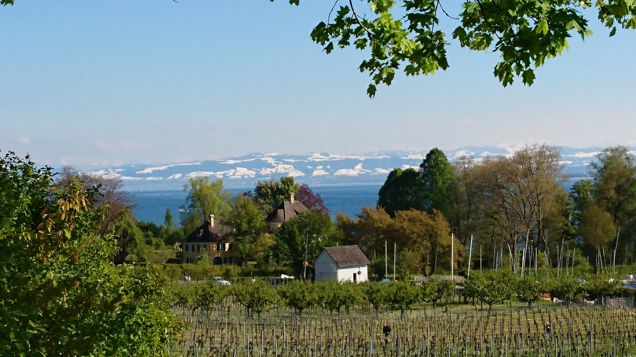 Ausblick Hotel Dreikönig