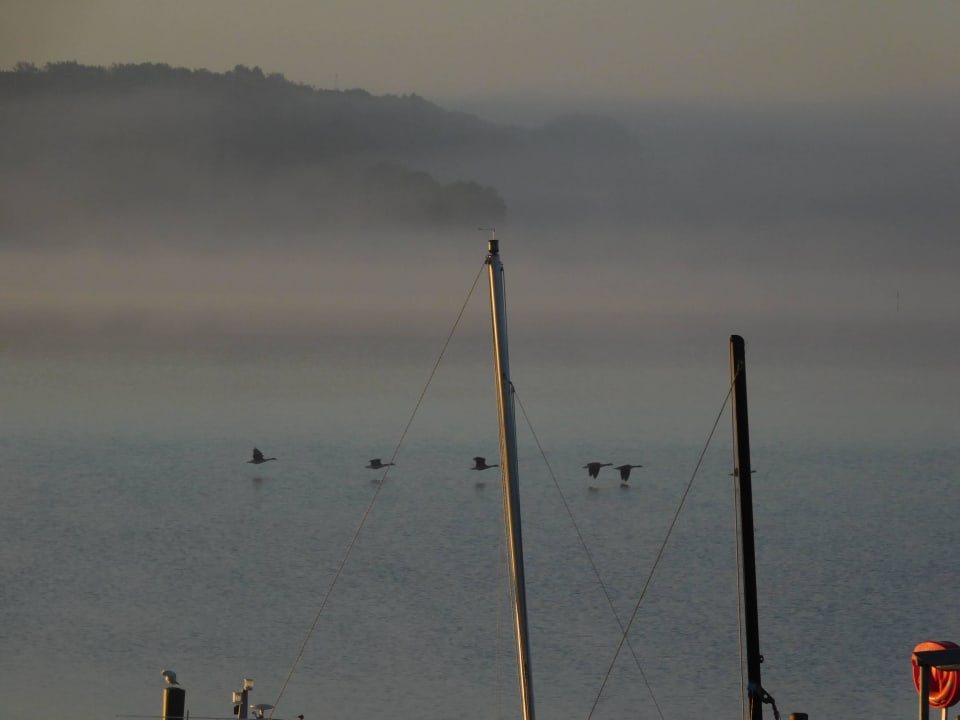 Es kommt Bewegung in den Tag. Appartementhaus Schleiblick