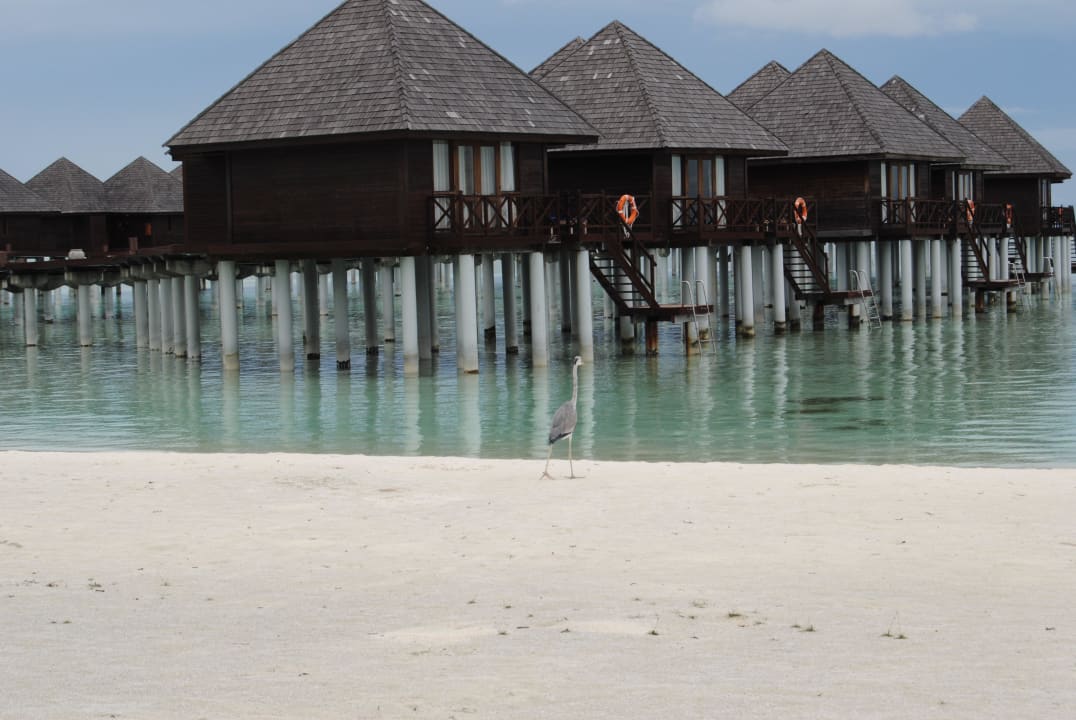 Water Villas Sun Siyam Olhuveli