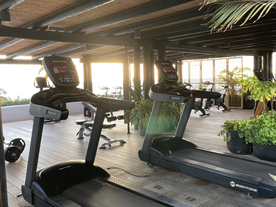 Sport & Freizeit Dreams Jardín Tropical