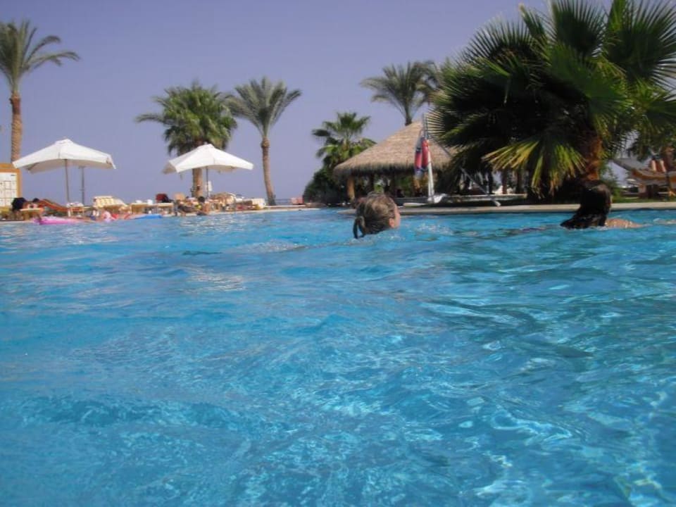 Basen przy głównej restauracji - widok na bar Safir Sharm Waterfalls Resort