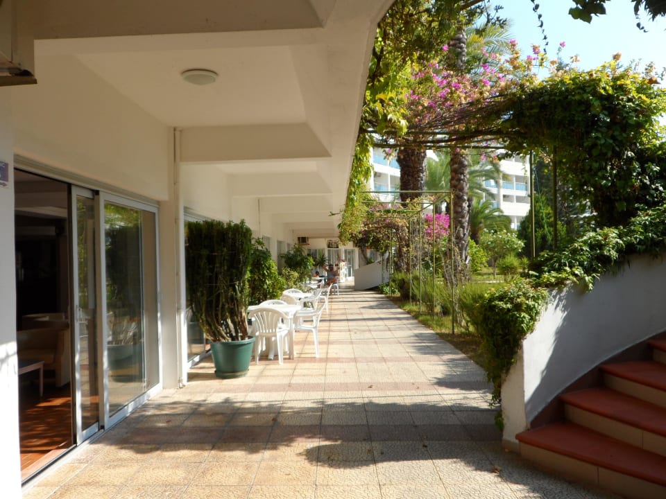 Areál hotela Top Hotel