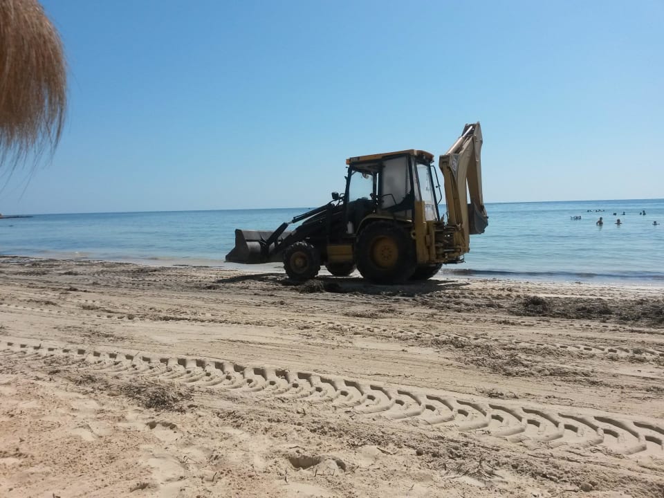 Algenbeseitigung   Hotel El Mouradi Djerba Menzel