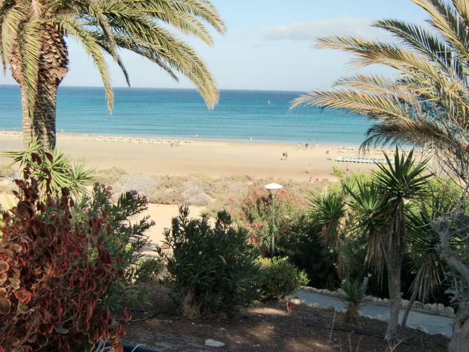 Ausblick zum Strand SBH Monica Beach Resort