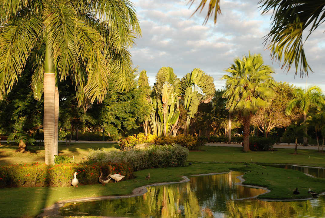 Wieczór w ogrodzie Grand Sirenis Punta Cana Resort & Aquagames