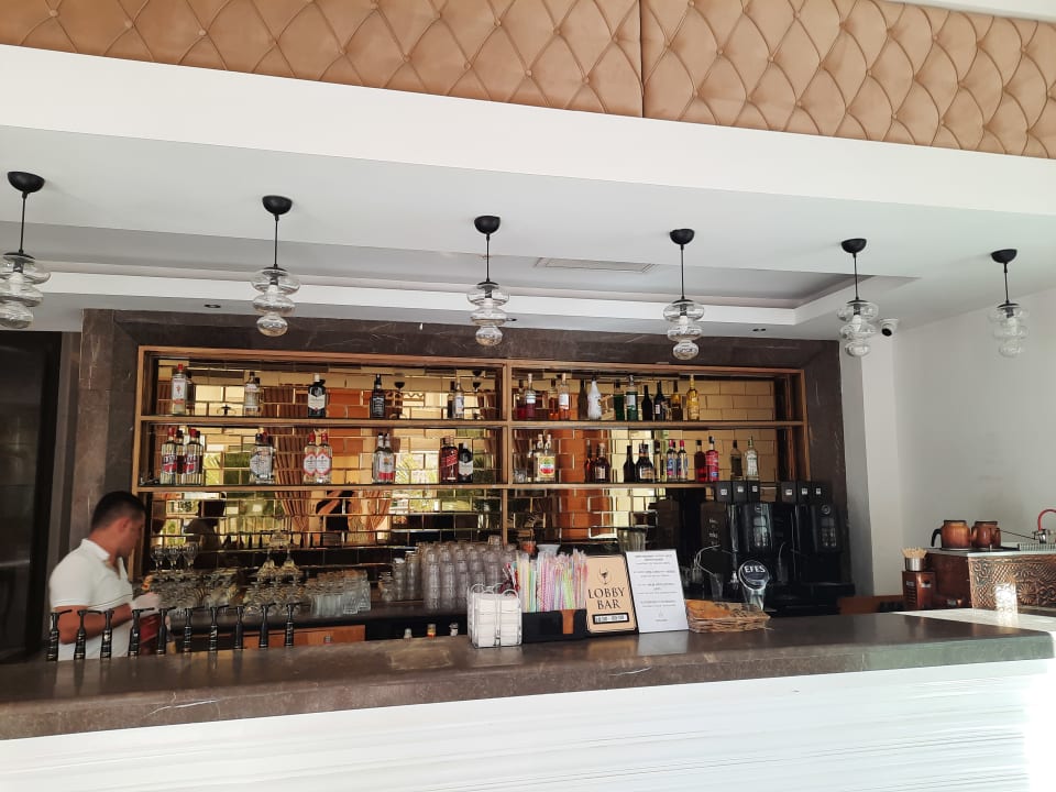 Lobby Side Royal Palace Hotel & Spa