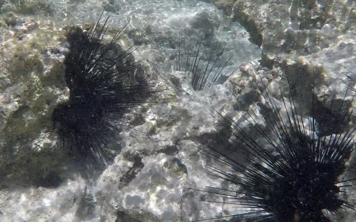 Strand Three Corners Sea Beach Resort