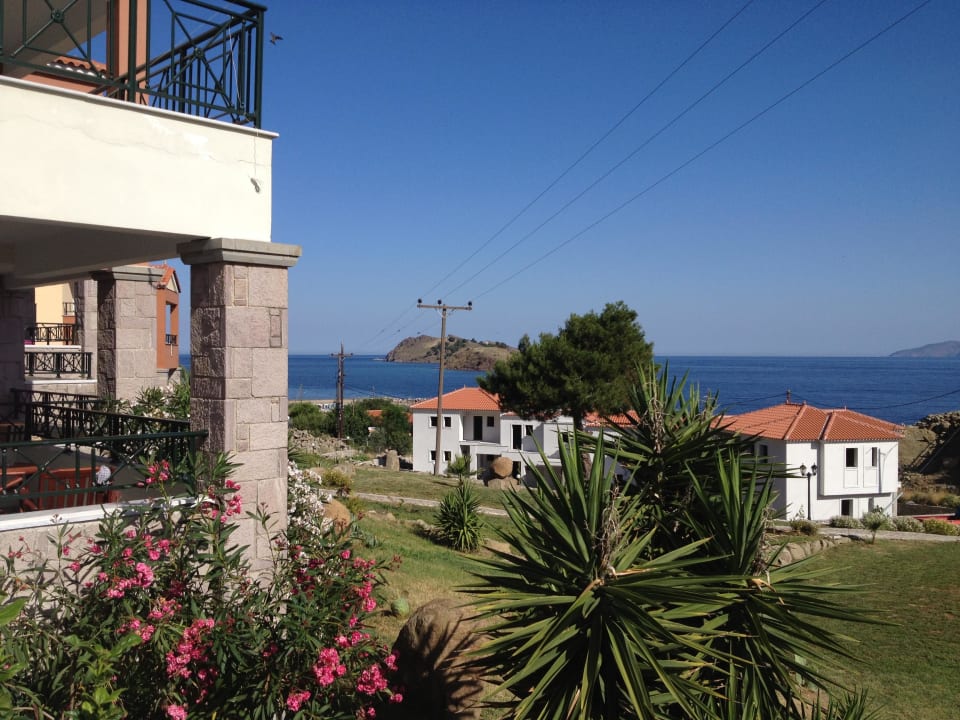 Blick vom Zimmer Hotel Alma Beach