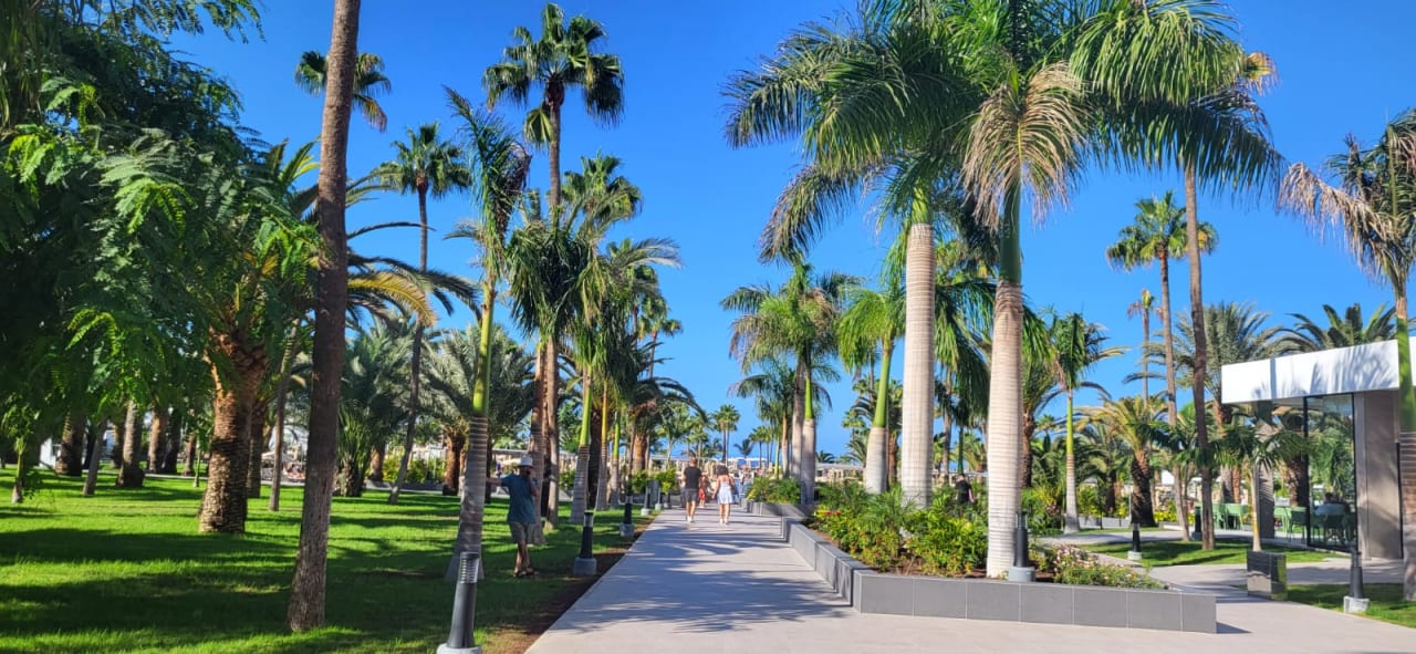Gartenanlage Hotel Riu Gran Canaria