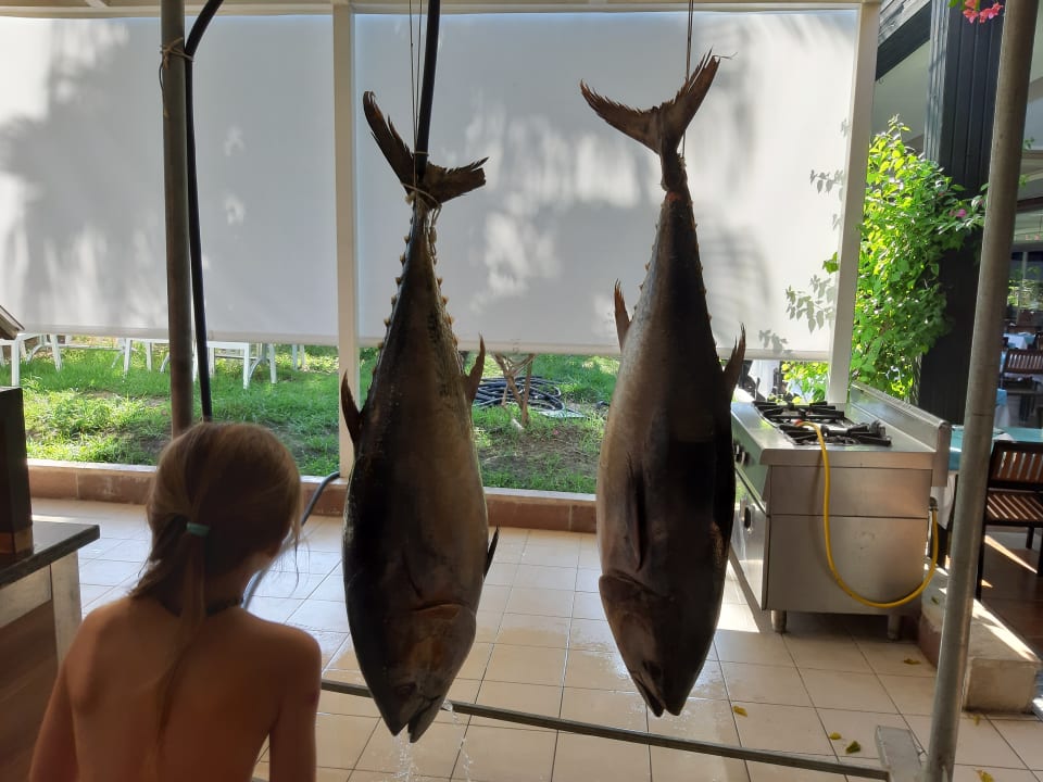 Gastro Calimera Hane Garden