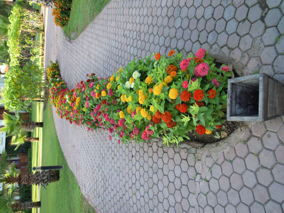 Gepflegte Beeten Club Tuana Fethiye