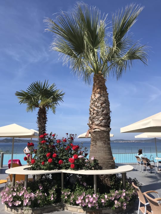 Ausblick Akrathos Beach Hotel