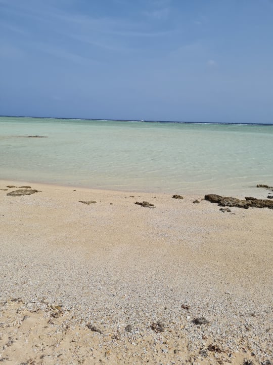 Strand Hotel Gorgonia Beach Resort