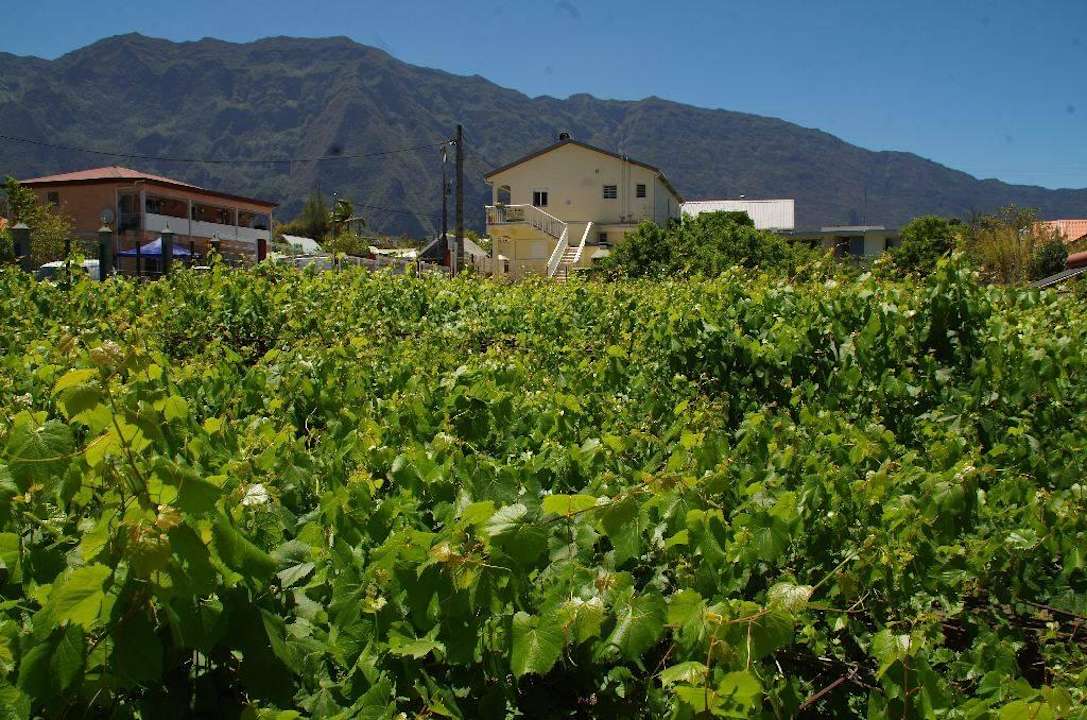 Vom Balkon aus  - 1.OG Straßenseite Otroiza Hotel