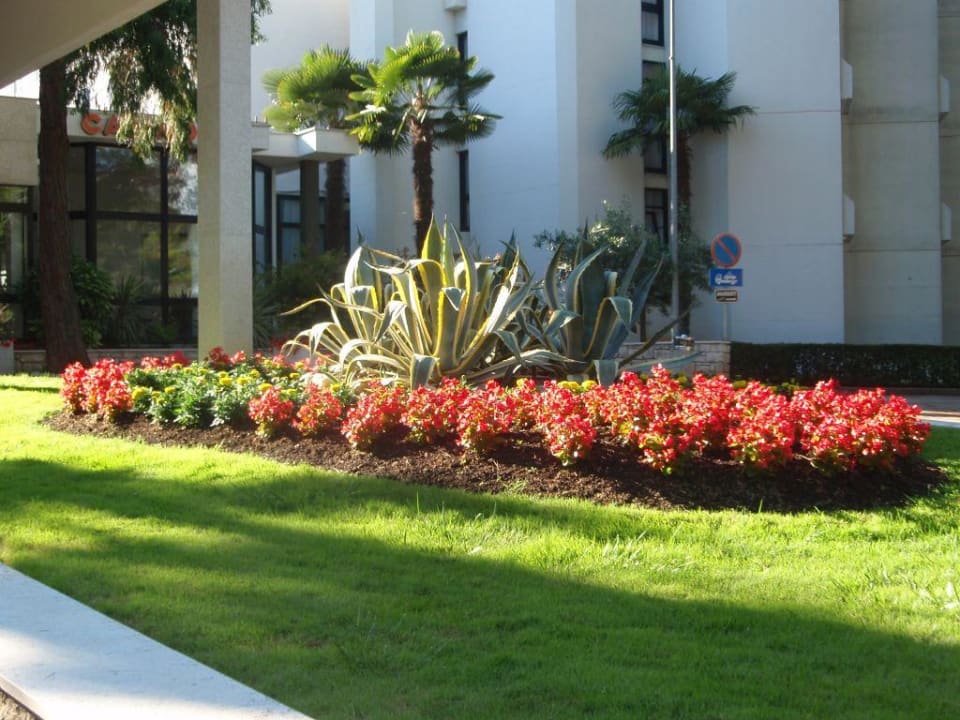 Hoteleingang Hotel Parentium Plava Laguna