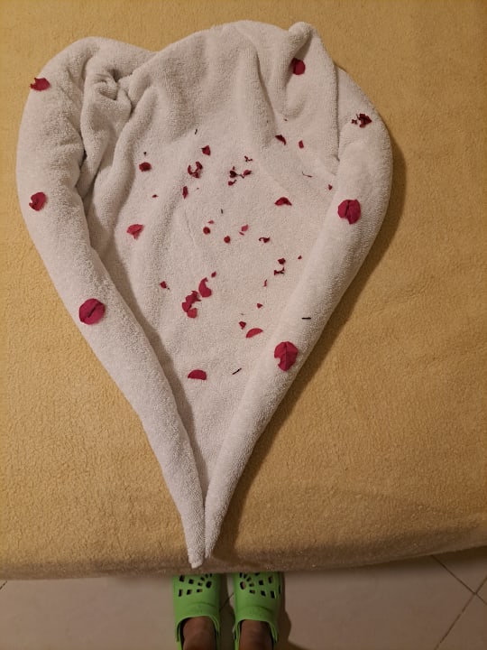 Zimmer Shams Safaga Resort