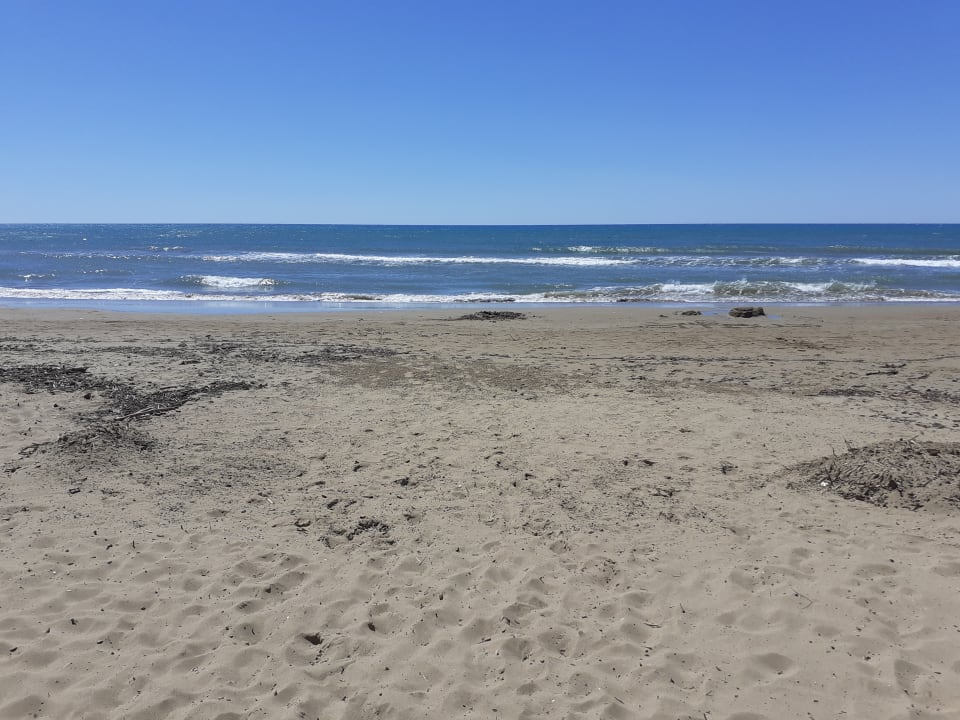 Strand Calimera Hane Garden