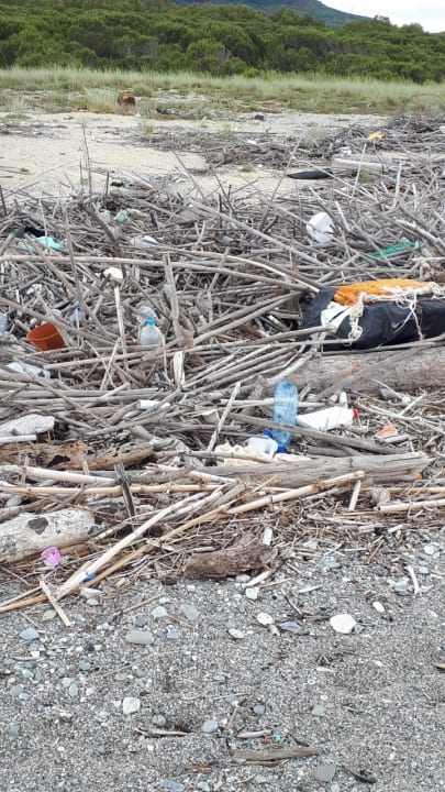 Ausblick TUI MAGIC LIFE Calabria