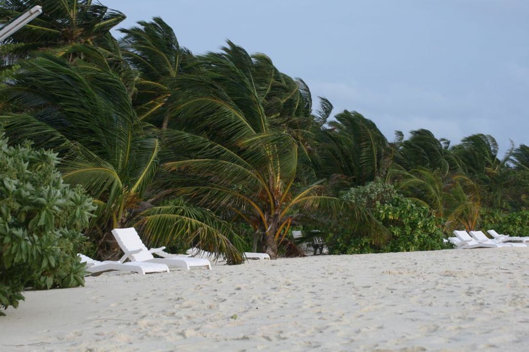 Hotelstrand an der Westküste Summer Island Maldives