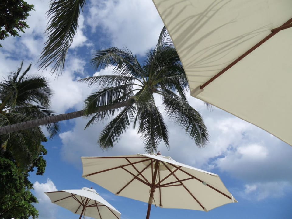 Am Strand Samui Paradise Chaweng Beach Resort & Spa