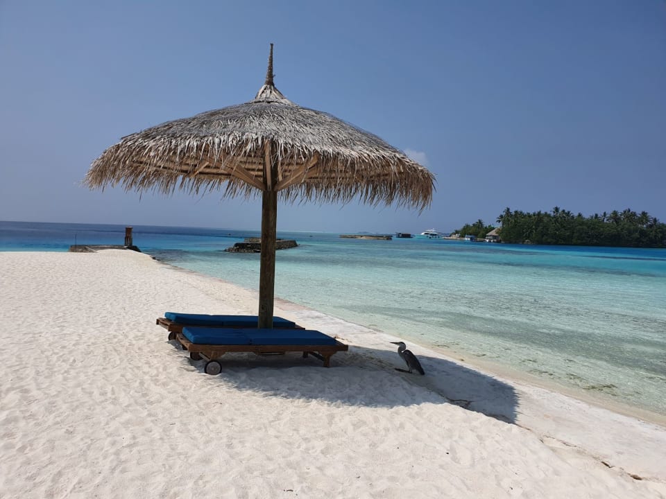 Strand Veligandu Maldives Resort Island
